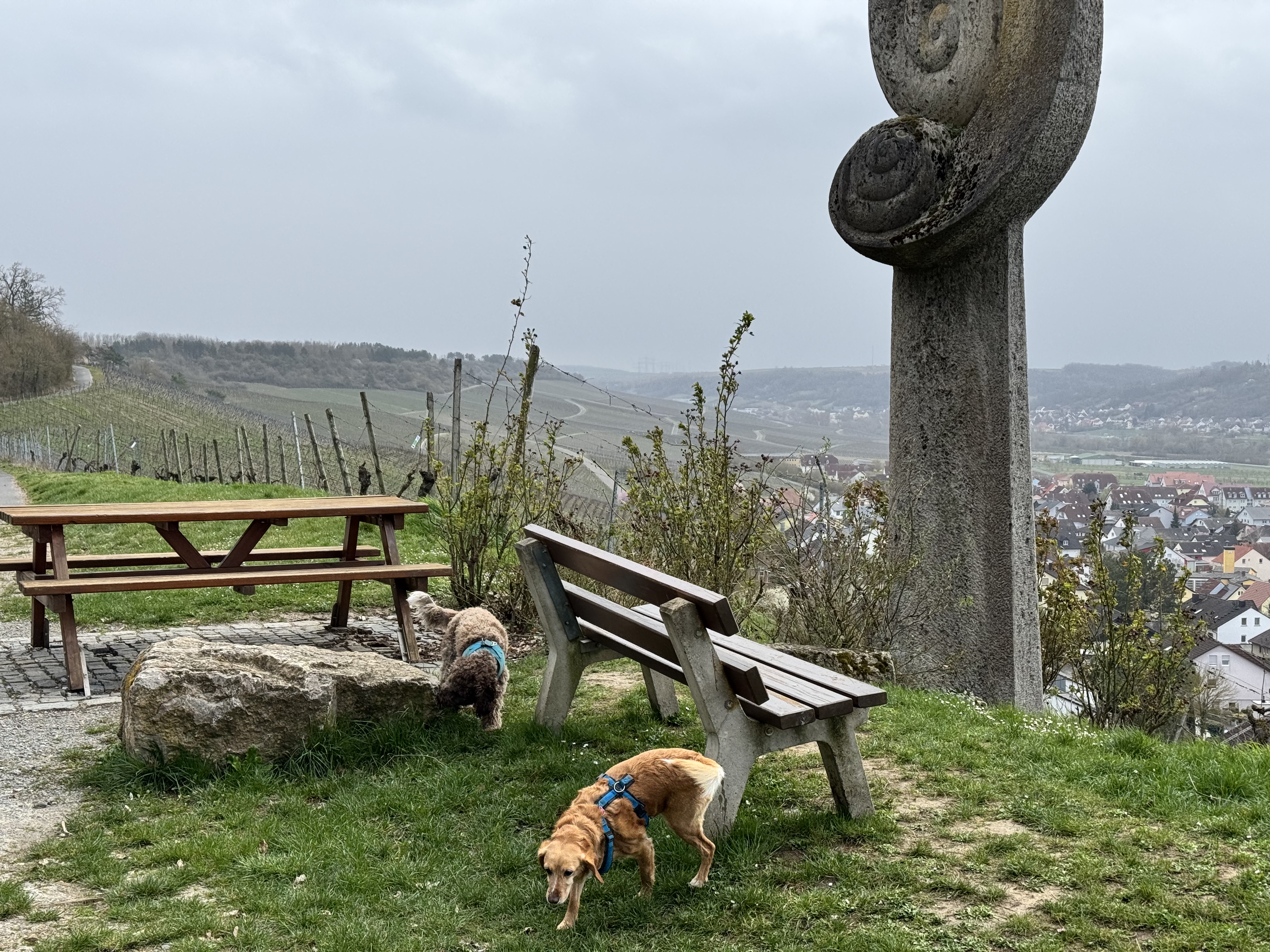 Bild 19